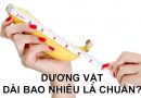 Dương vật dài bao nhiêu là chuẩn